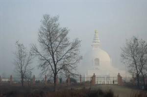 buddha