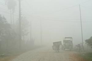 fog